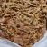 大板鸭食管30吨
