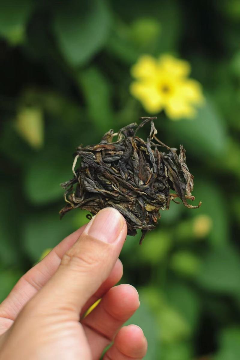 普洱茶
