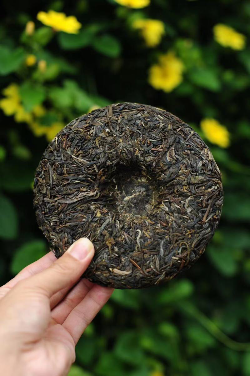 普洱茶