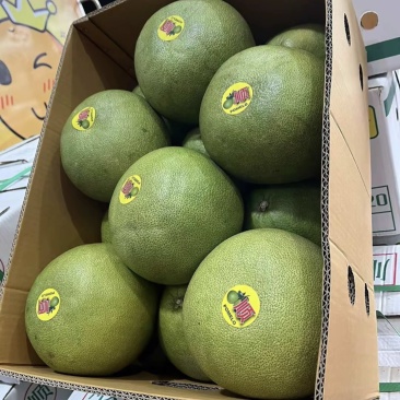 泰国青柚