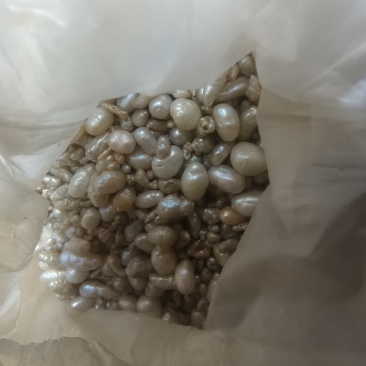 珍珠