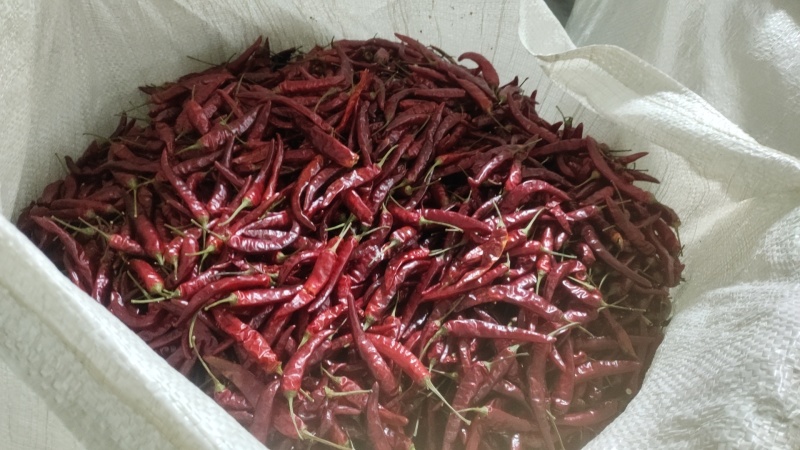 干辣椒