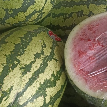 宁夏中卫硒砂西瓜