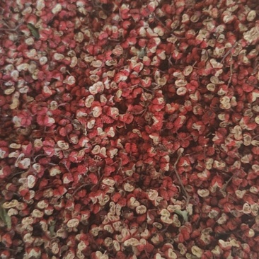 武都花椒