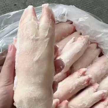 猪蹄20到23的规格20斤一件