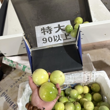 百香果一件代发按照规格发货电商市场团购