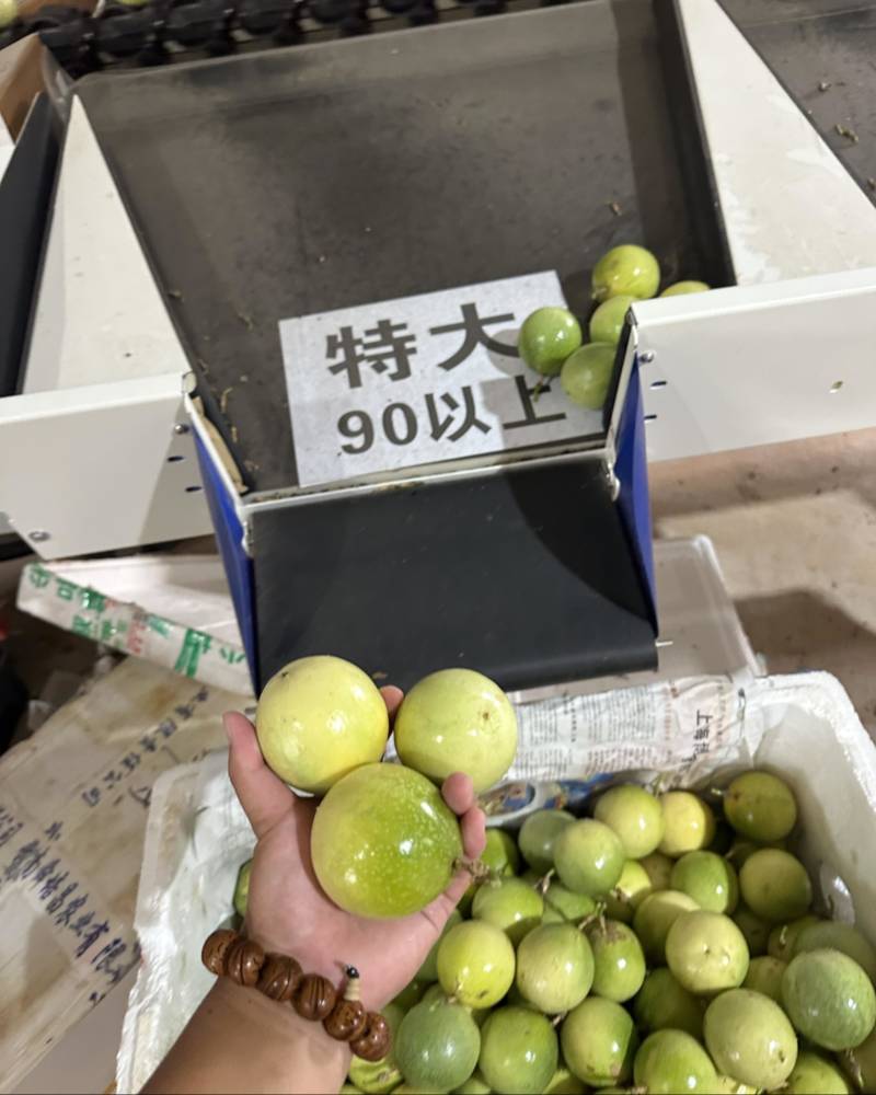 百香果一件代发按照规格发货电商市场团购