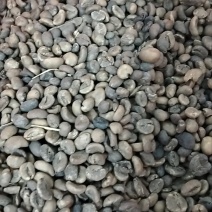 咖啡豆