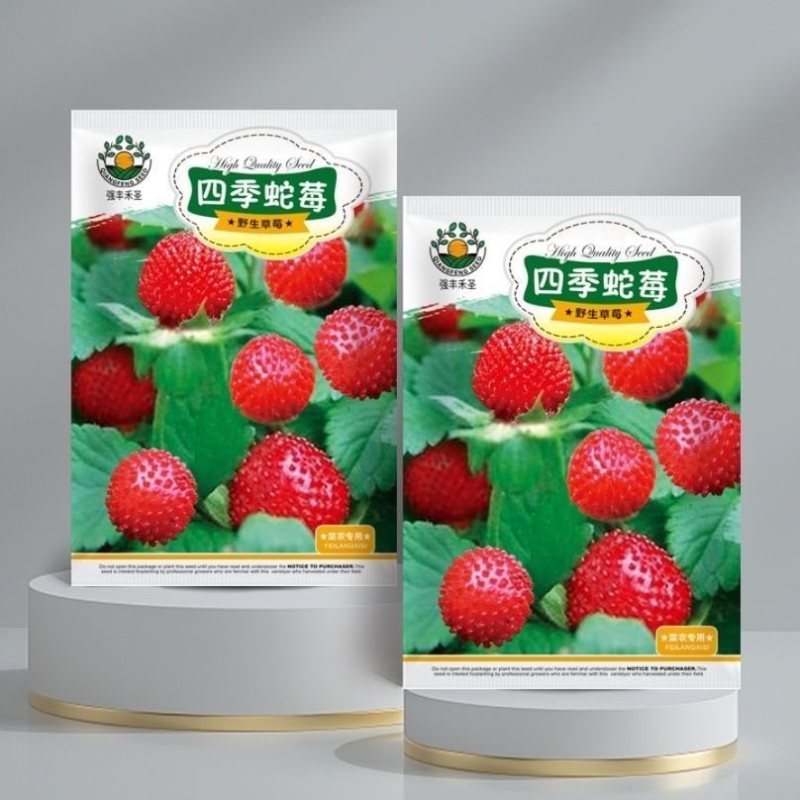 野生蛇莓种子中草药驱蚊植物蛇泡草地杨梅蛇果草三点红朱爪野草莓