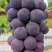 葡萄🍇