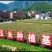 花青素玉米