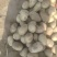 陕北土豆