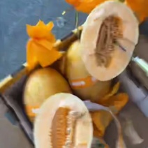 哈密瓜