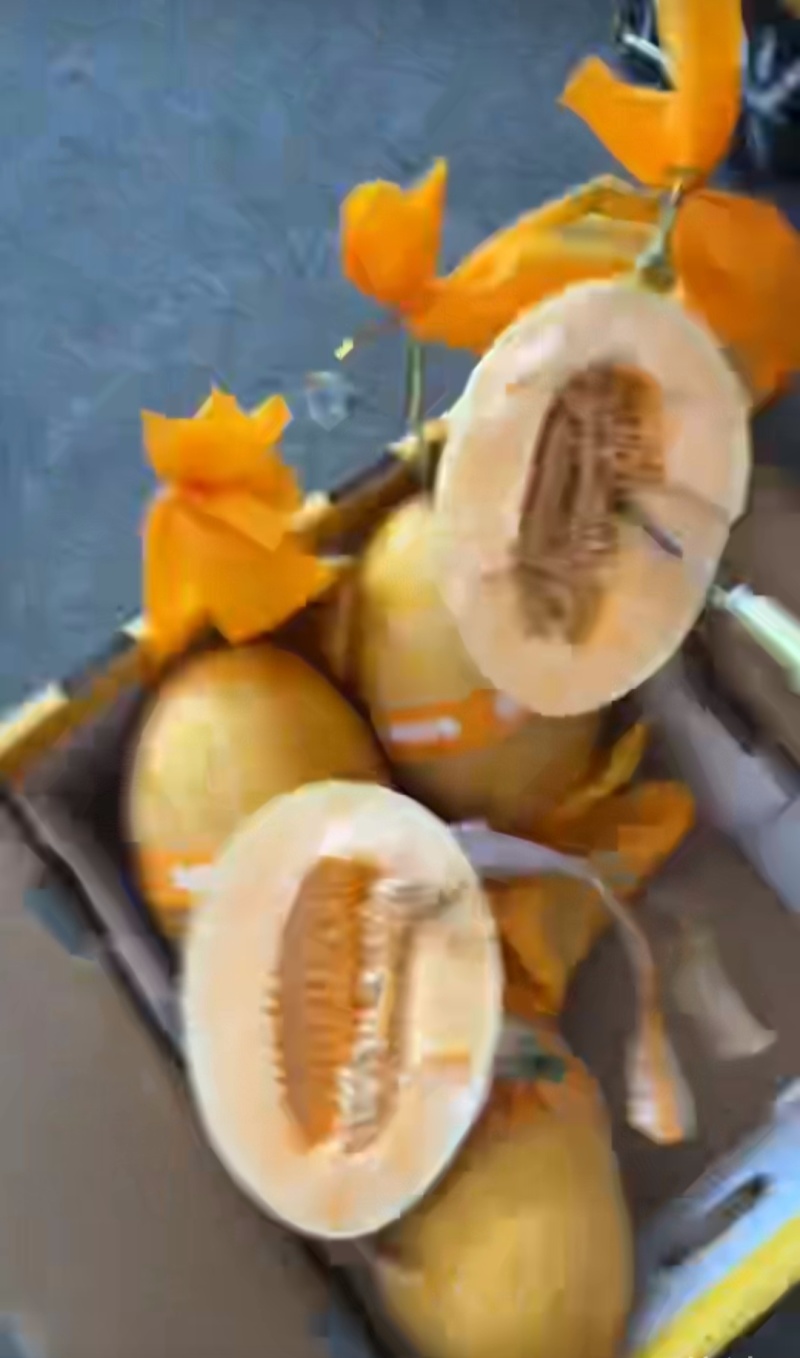 哈密瓜