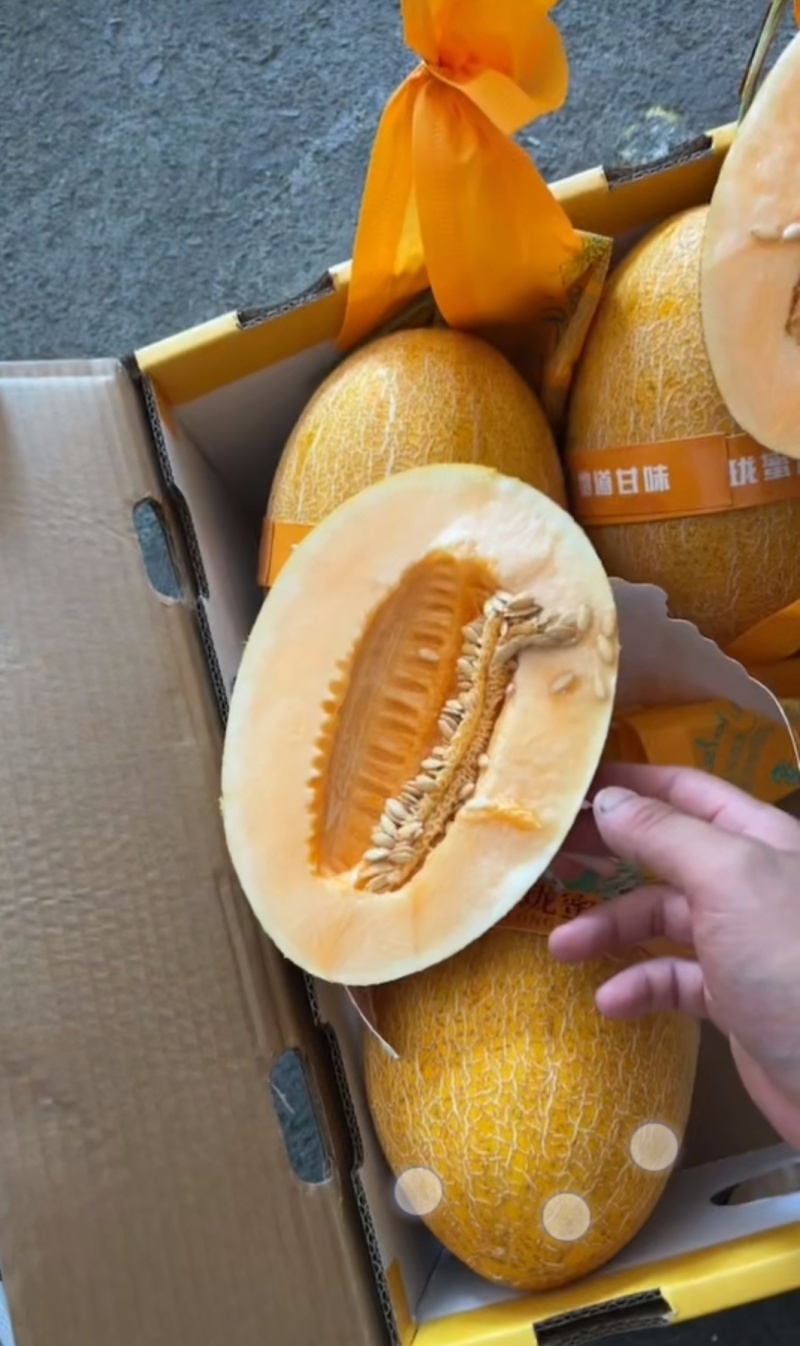 哈密瓜