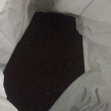 车前草种子