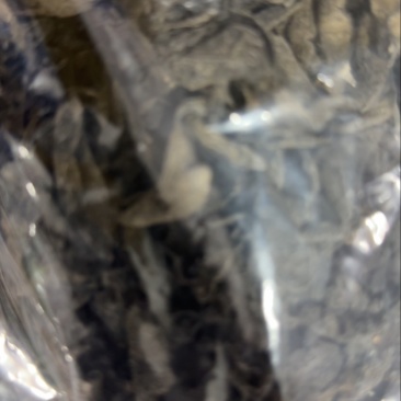 木耳