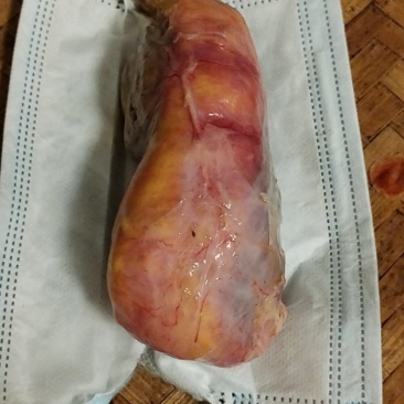 鸡宝