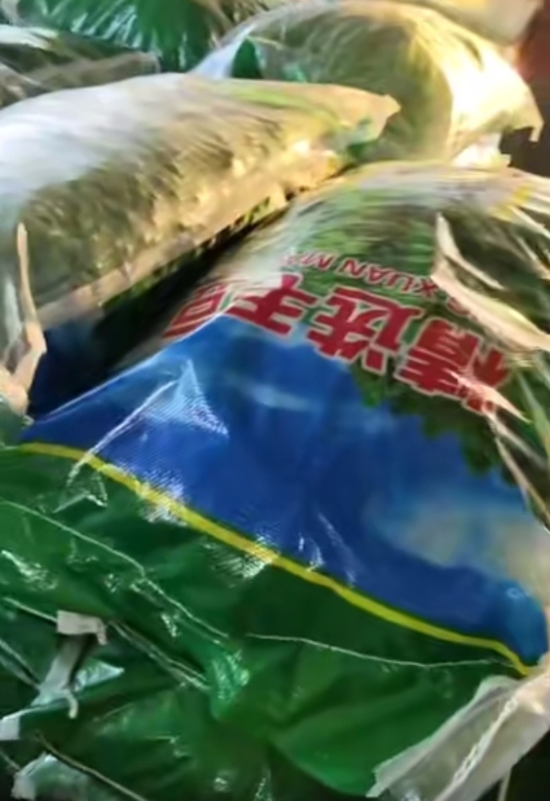 精包毛豆