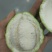 黄金百香果