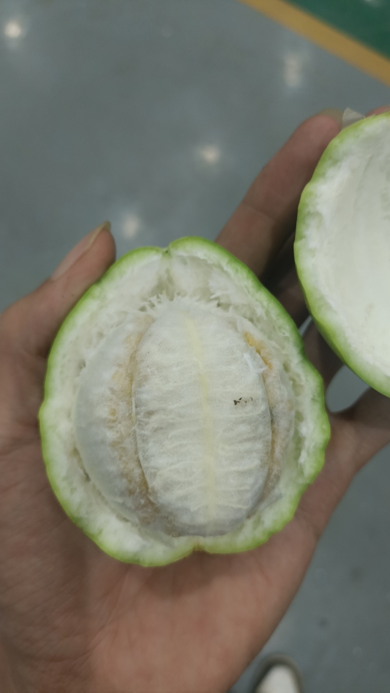 黄金百香果