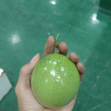 黄金百香果