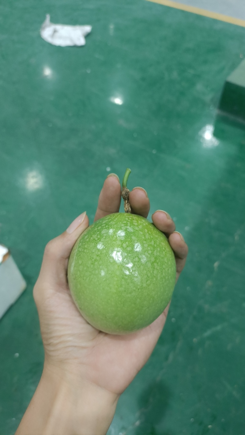 黄金百香果