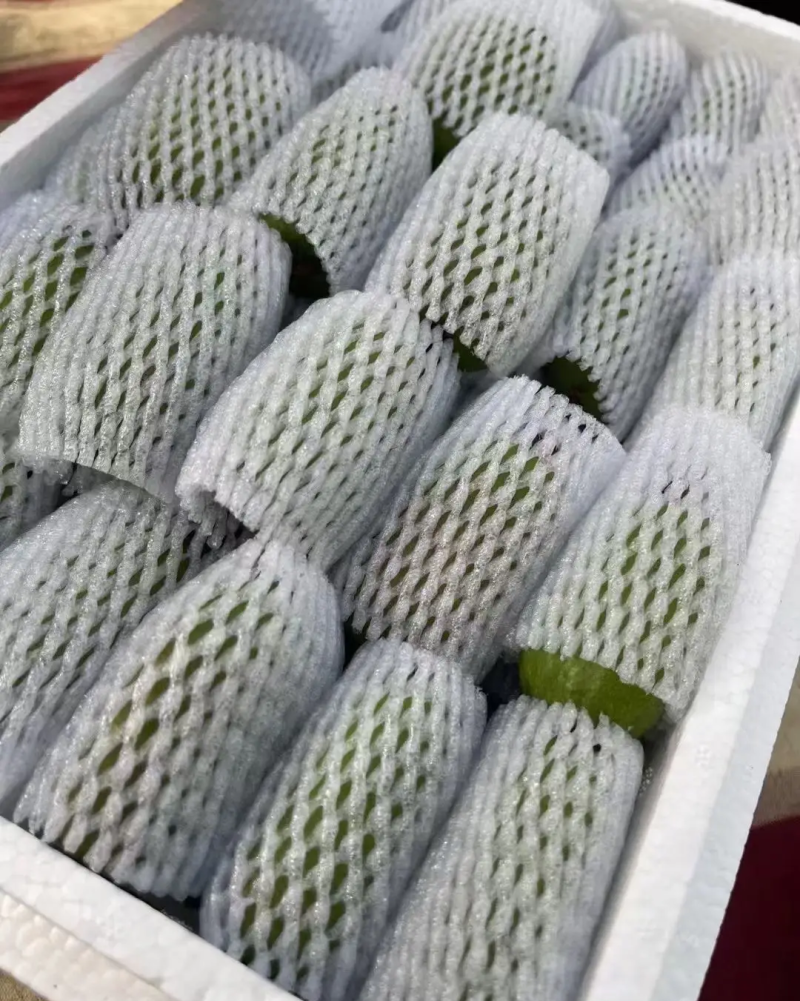 猕猴桃软枣，正值软枣成熟季节，非常甜不酸，不用吐种子！！