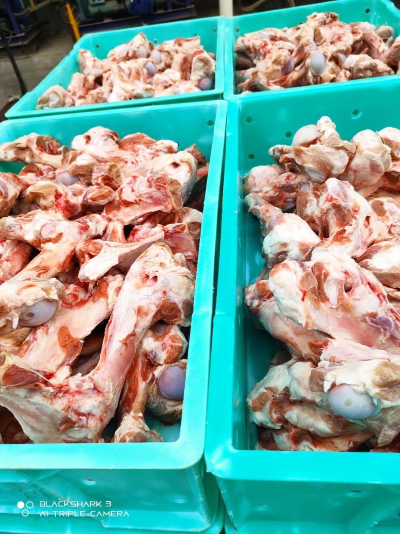 猪棒骨，肘子骨，整车批，7吨左右一批