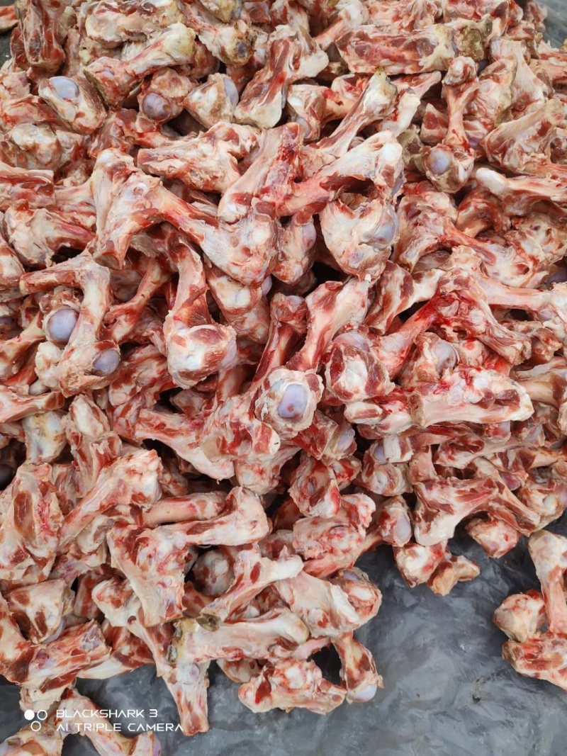 猪棒骨，肘子骨，整车批，7吨左右一批