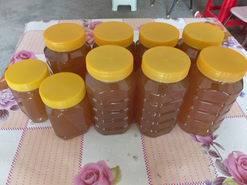 自家蜂蜜，百花蜜