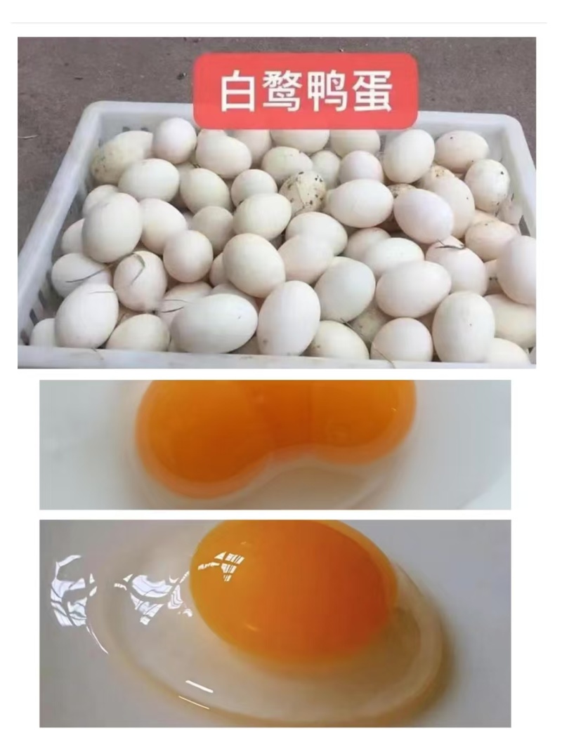 福建连城白鹭鸭蛋，7~8个/斤，鸭蛋新鲜无腥味，营养又好吃