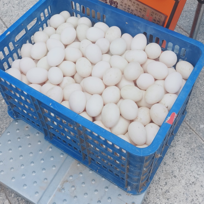 福建连城白鹭鸭蛋，7~8个/斤，鸭蛋新鲜无腥味，营养又好吃