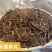 黑参片斜片50g/100g/150g/500g规格都有