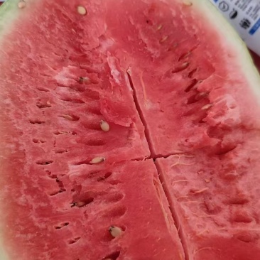 西瓜