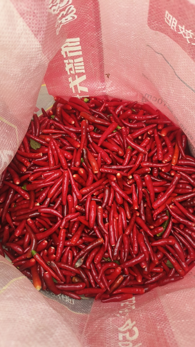 我这有鲜红玉带把辣椒