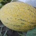 哈密瓜内蒙古额济纳