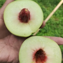 青桃大量上市。需要的速度