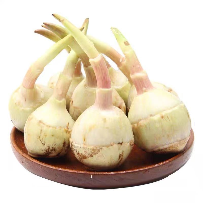茨菇