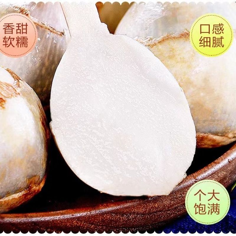 茨菇