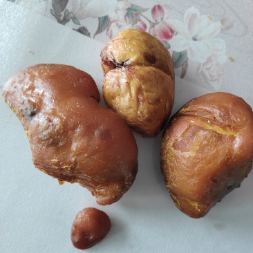 鸡宝