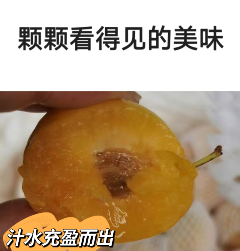 黄金西梅新疆黄金西梅上架啦