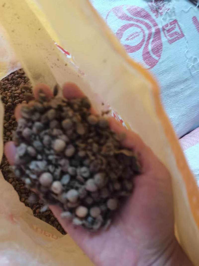 发酵大豆，回家不用二次发酵，直接使用就可以