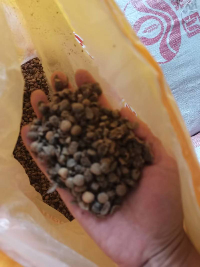 发酵大豆，回家不用二次发酵，直接使用就可以
