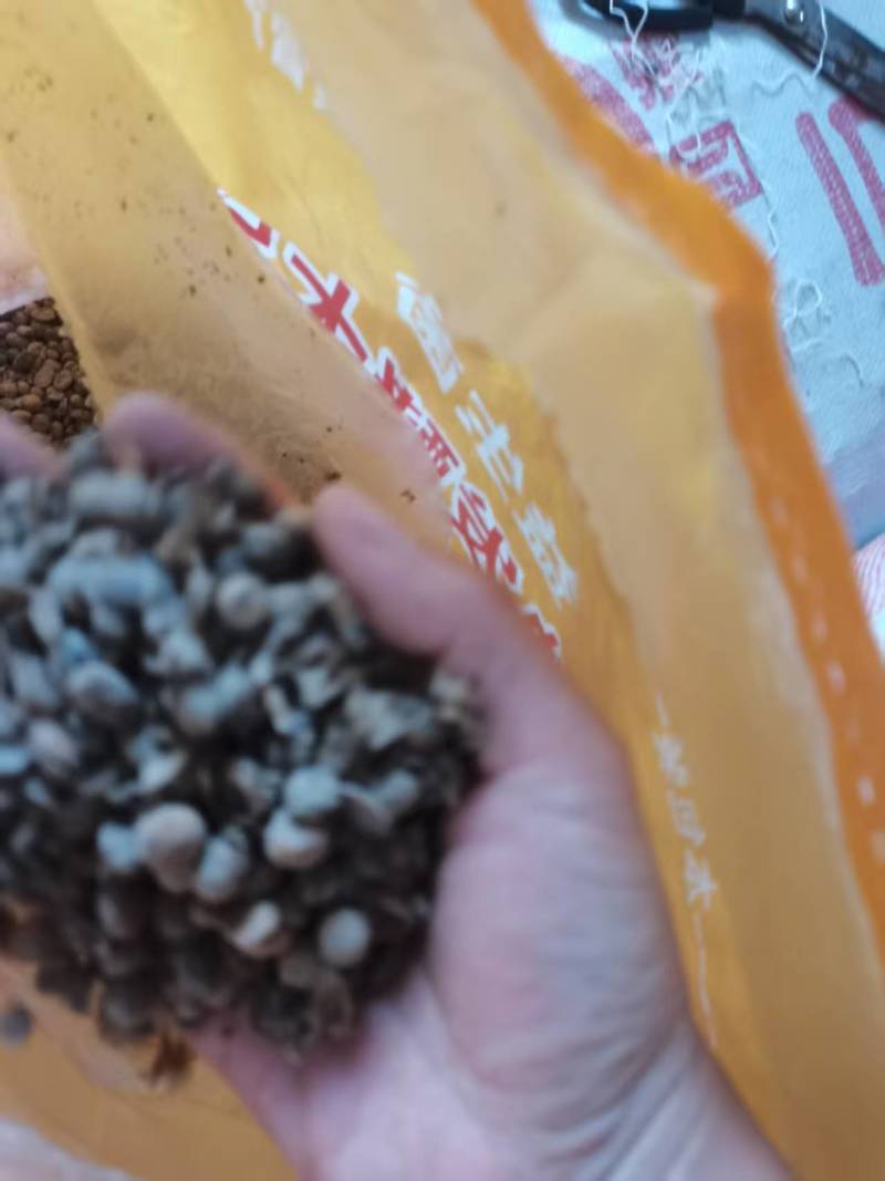 发酵大豆，回家不用二次发酵，直接使用就可以