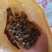 发酵大豆，回家不用二次发酵，直接使用就可以