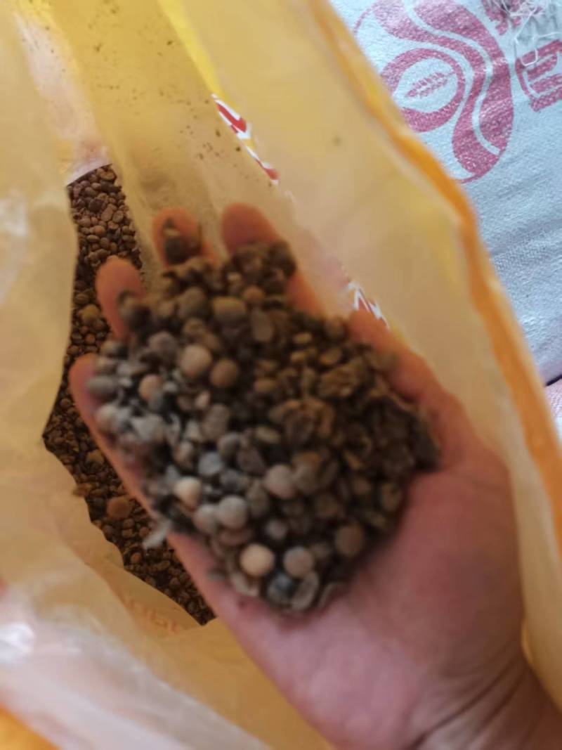 发酵大豆，回家不用二次发酵，直接使用就可以