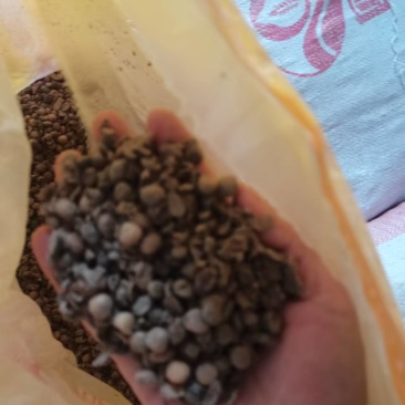 发酵大豆，回家不用二次发酵，直接使用就可以