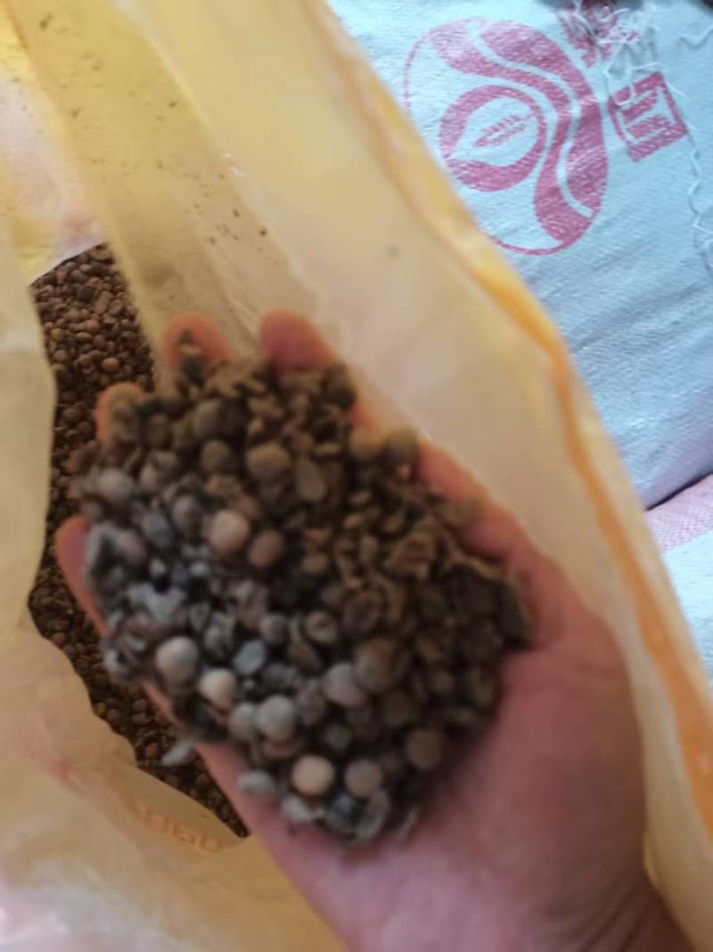 发酵大豆，回家不用二次发酵，直接使用就可以