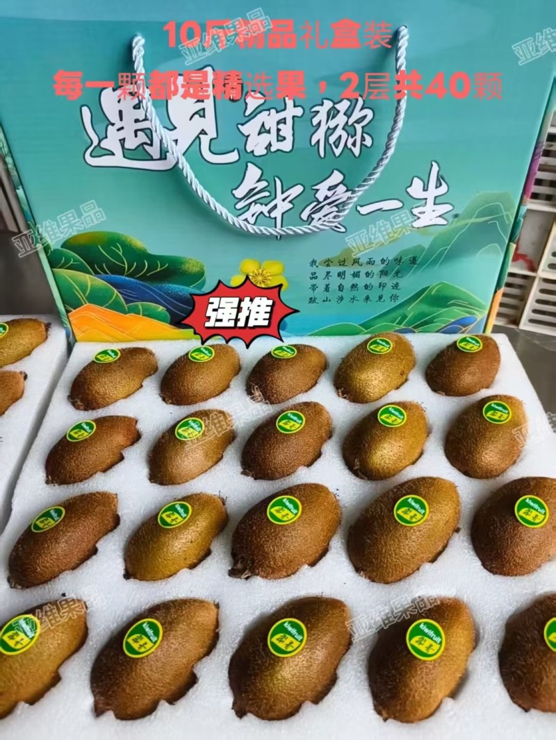 陕西周至翠香猕猴桃